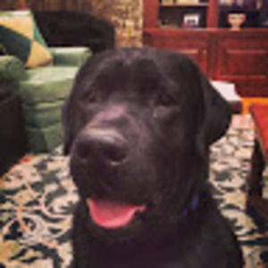 Meet your Posher, Ben